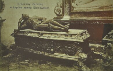 Arkadia nad Złotą Lipą. Rzecz o panach z Brzeżan – wykład