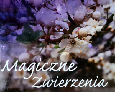 Magiczne zwierzenia – Alicja Zając okładka ksiązki na której umieszczona jest kwitnąca gałązka wiśni
