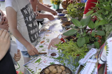 Smyki lubią smakołyki