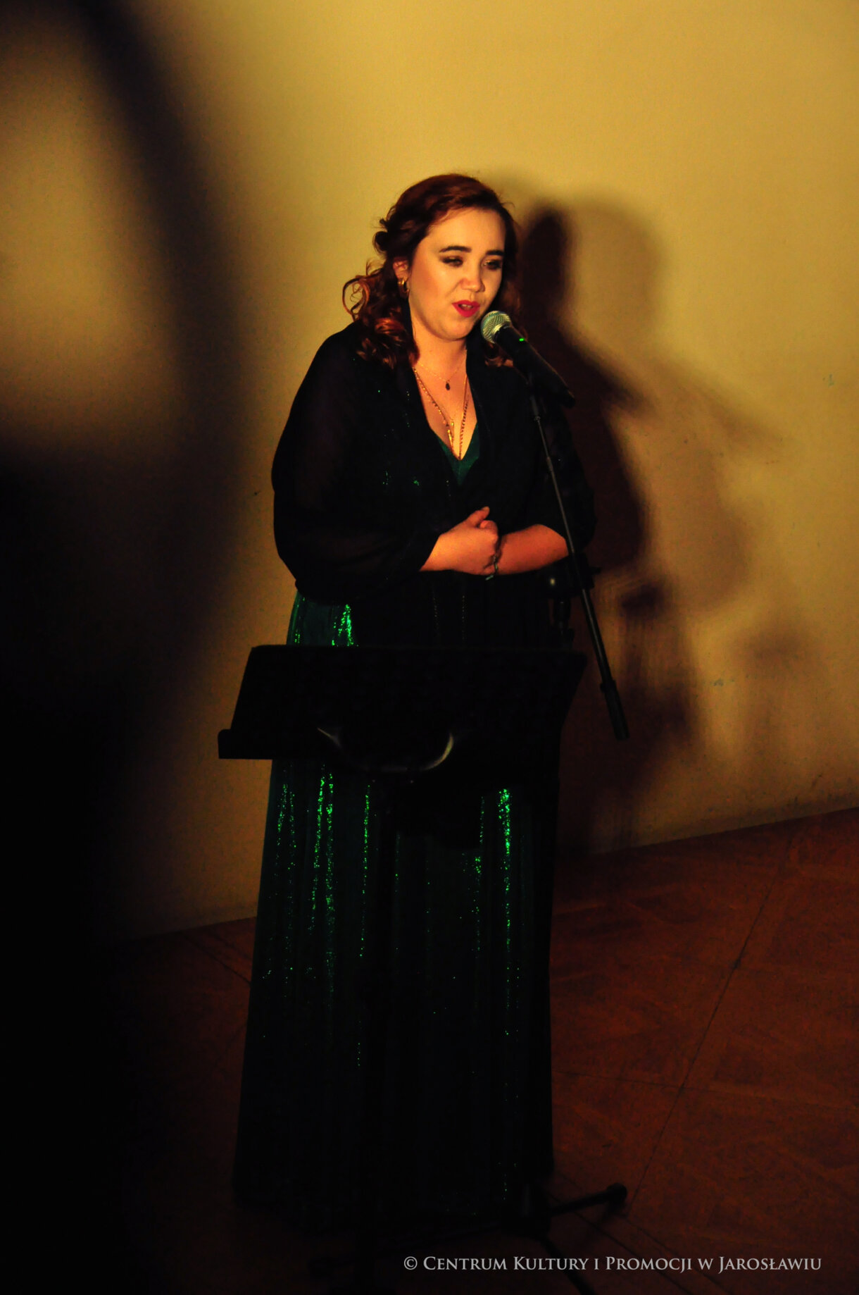 wokalistka na scenie