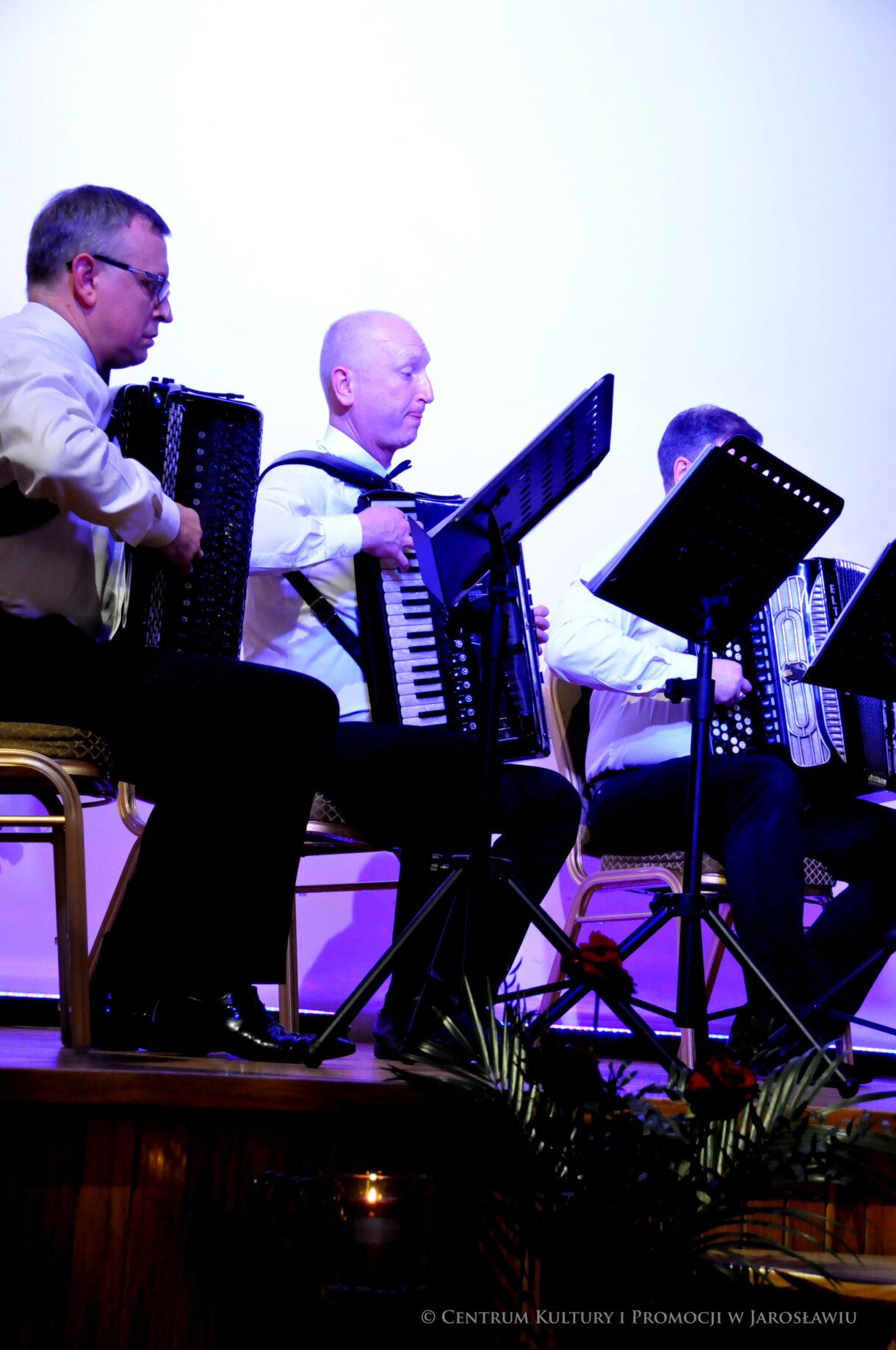 akordeoniści podczas koncertu