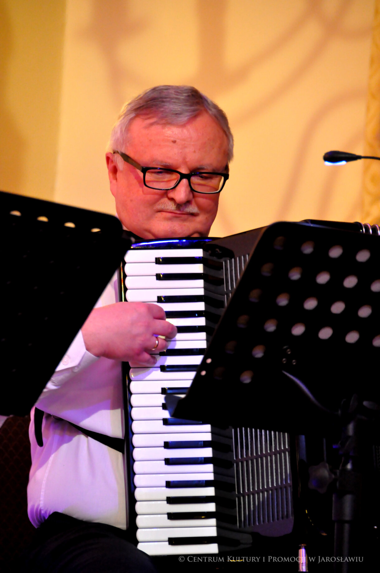 akordeonista podczas koncertu