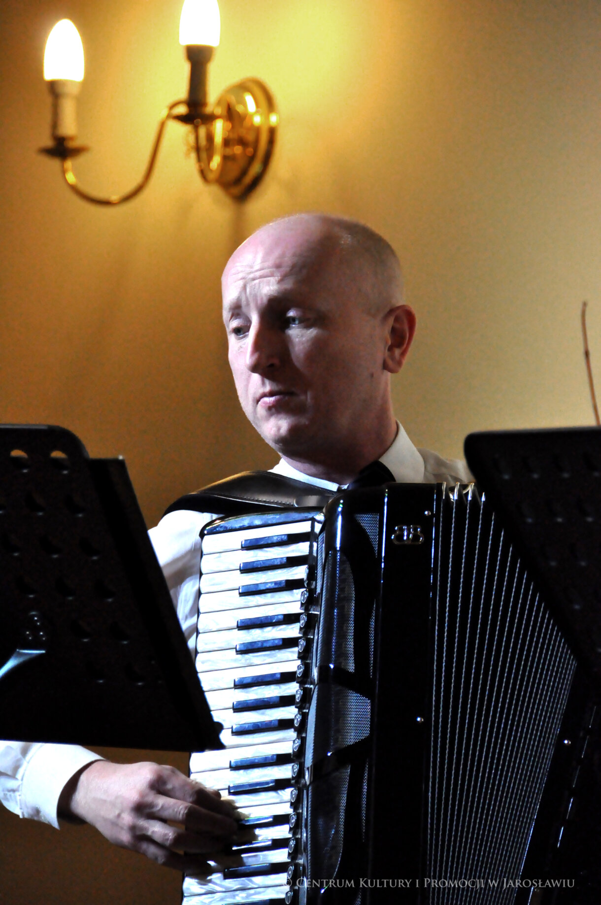 akordeonista podczas koncertu