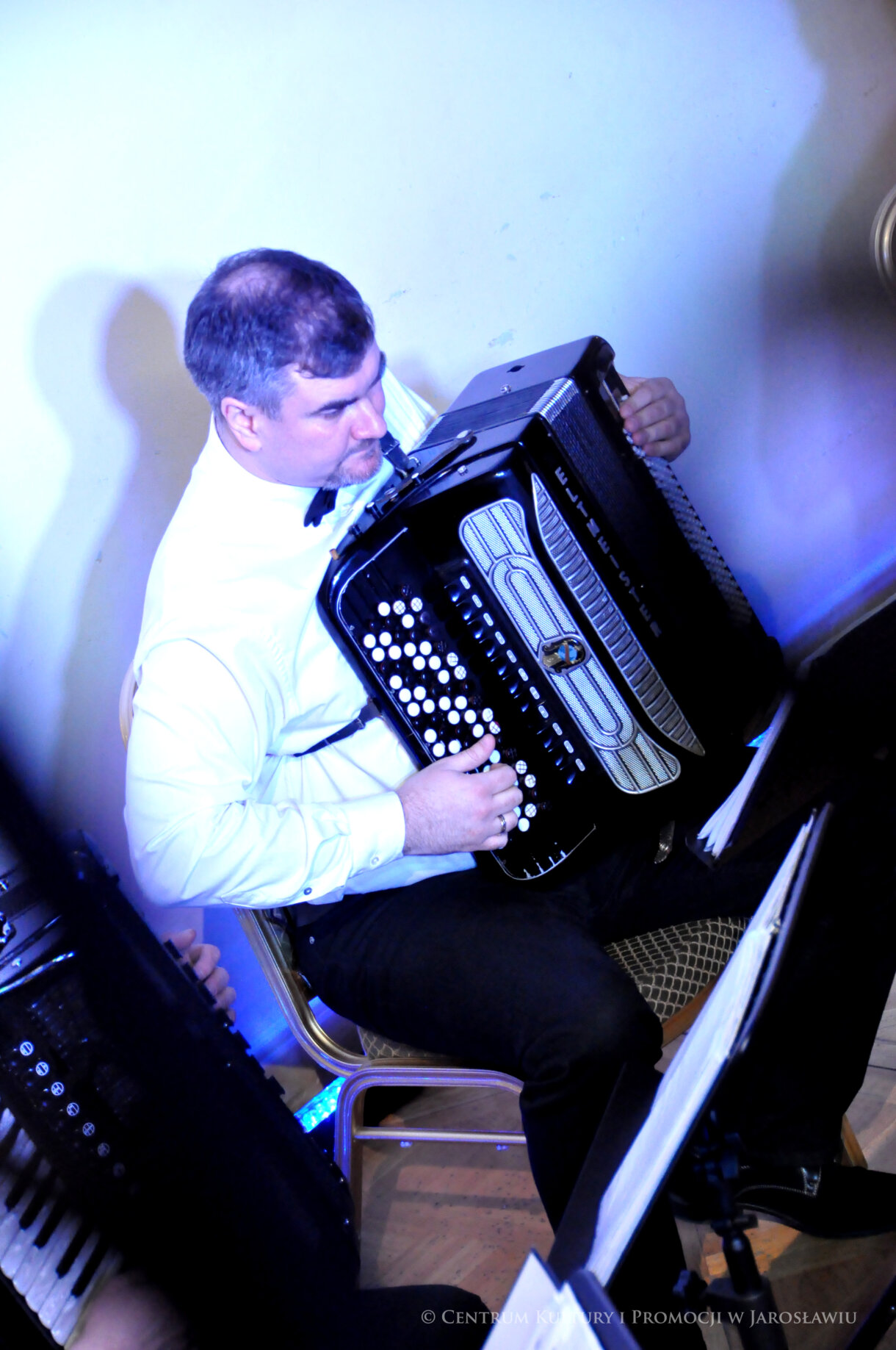akordeonista podczas koncertu