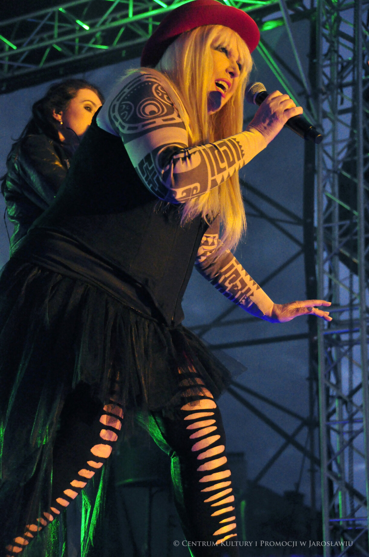 Artystka - Maryla Rodowicz