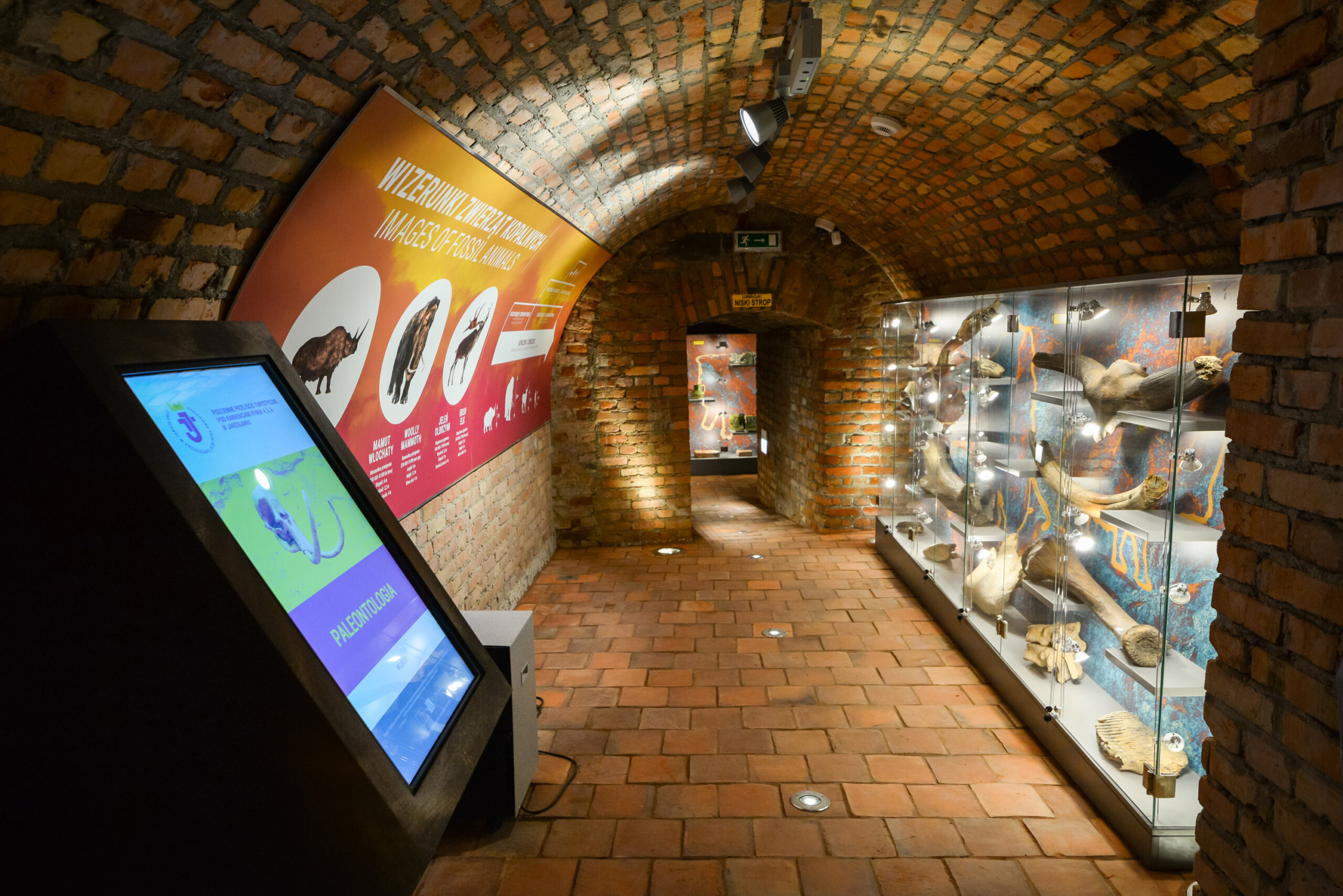 Wnętrze sali "Paleontologia" w Podziemnym Przejściu Turystycznym