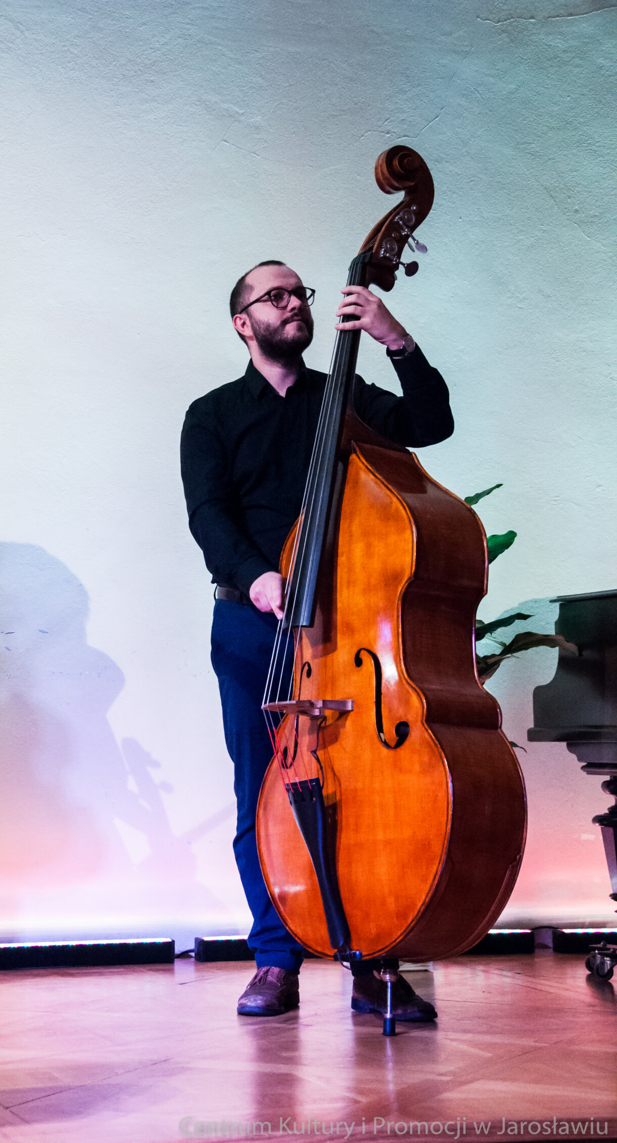 kontrabasista na scenie podczas występu