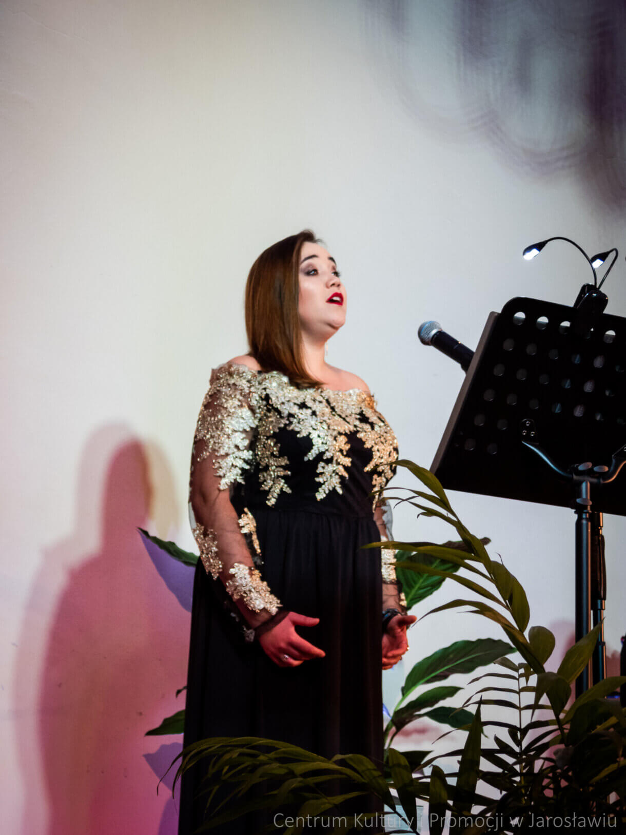 wokalistka podczas koncertu na scenie