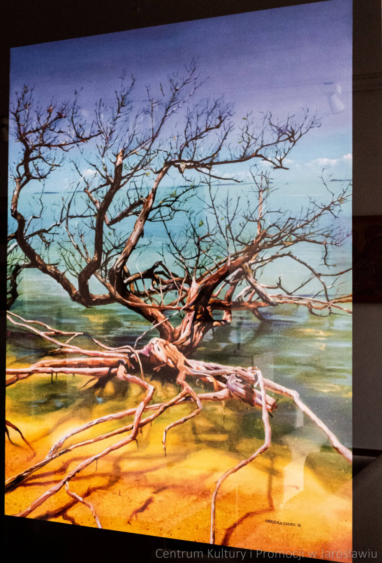 Urszula Rossiter (Odzioba) obraz