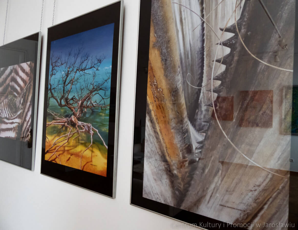 obrazy. Urszula Rossiter (Odzioba)