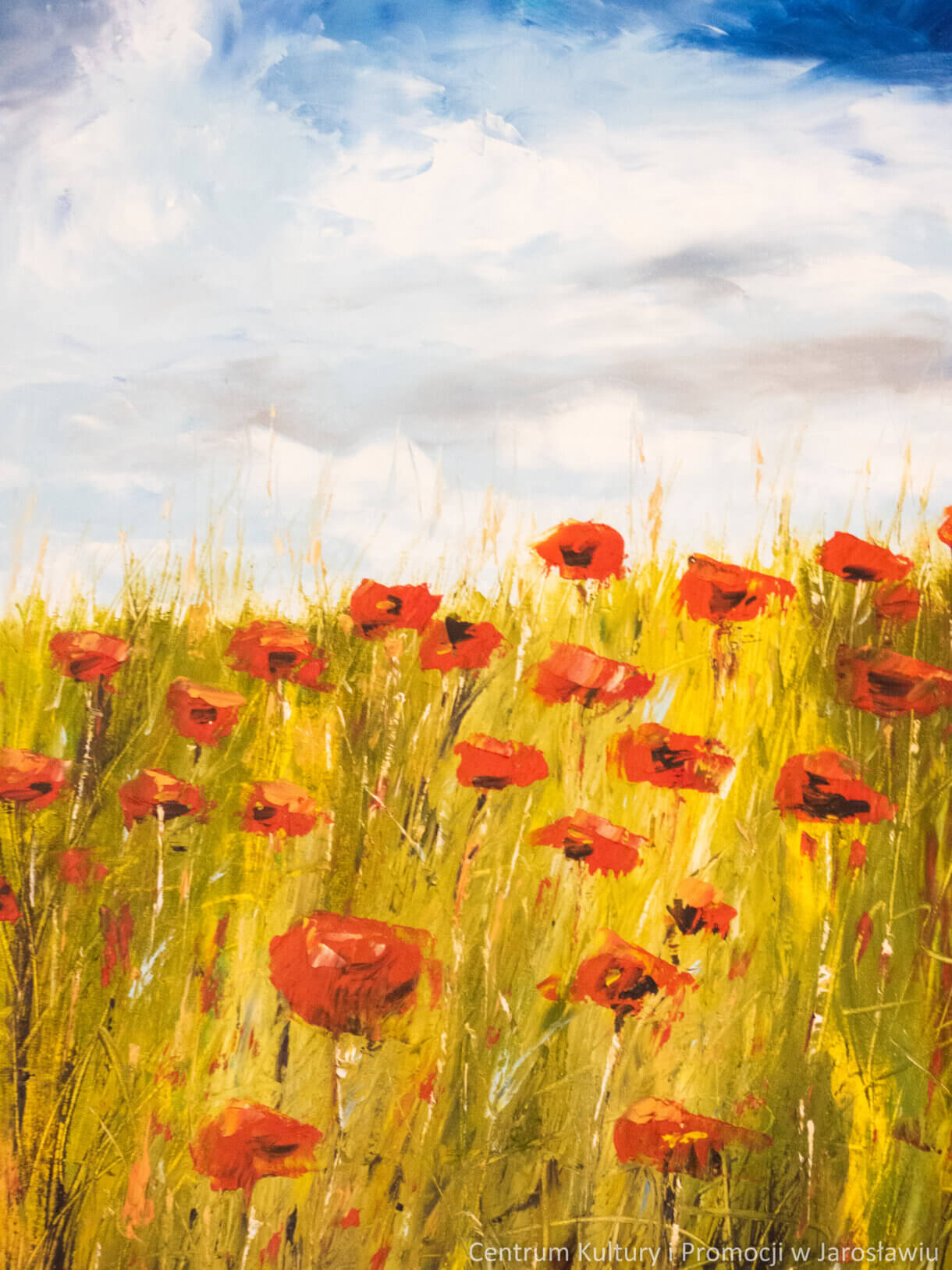 obraz z widokiem maków na łące