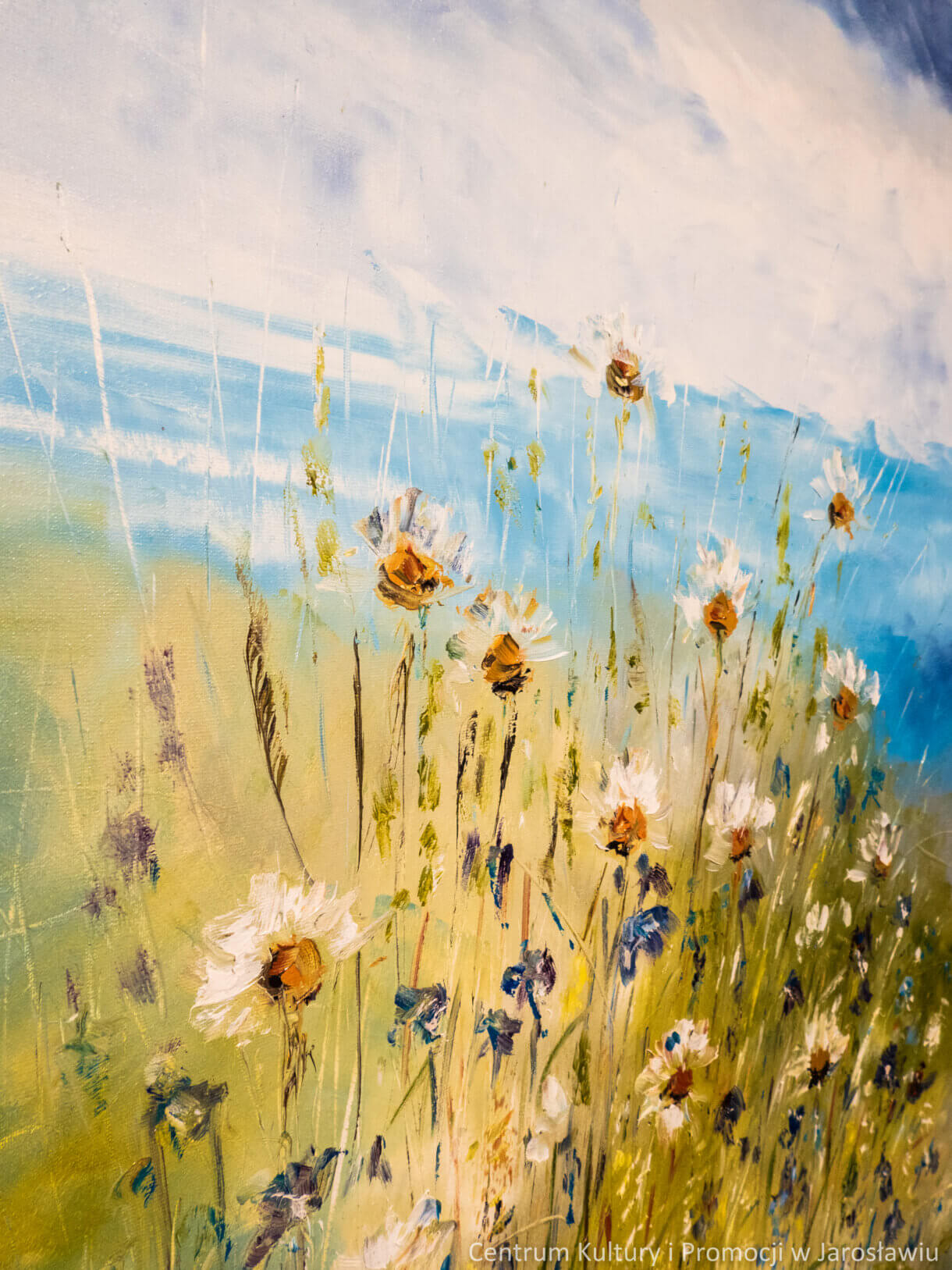 obraz z widokiem rumianków na łące