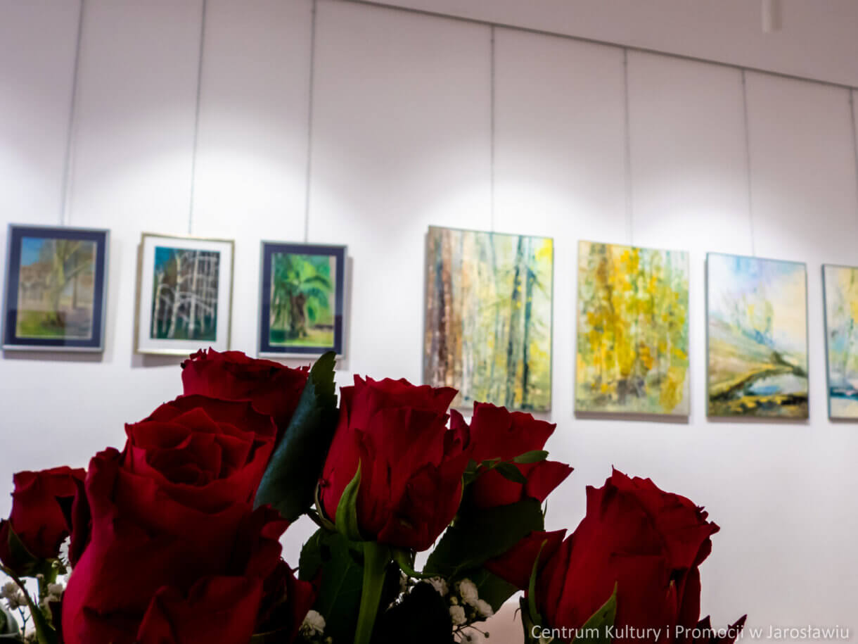 pierwszy plan, czerwone róże, drugi plan obrazy na ścianie