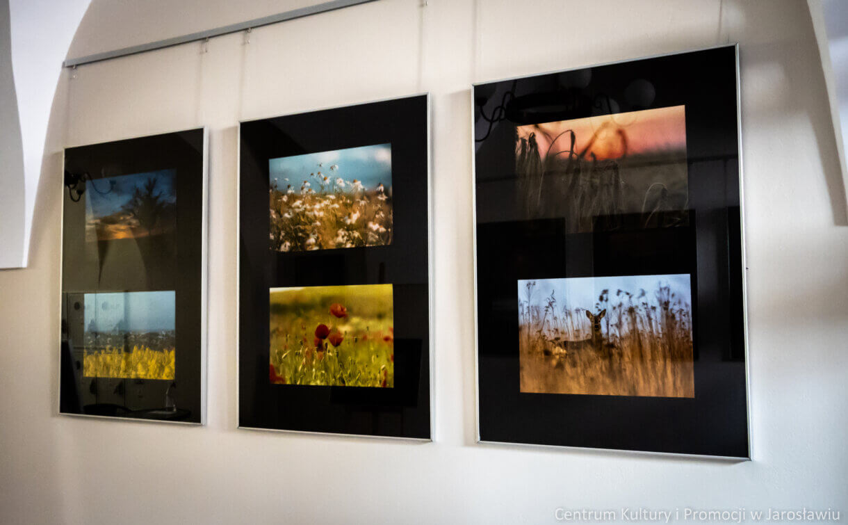 fotografie natury w Holu Galerii w Halu sześć sztuk