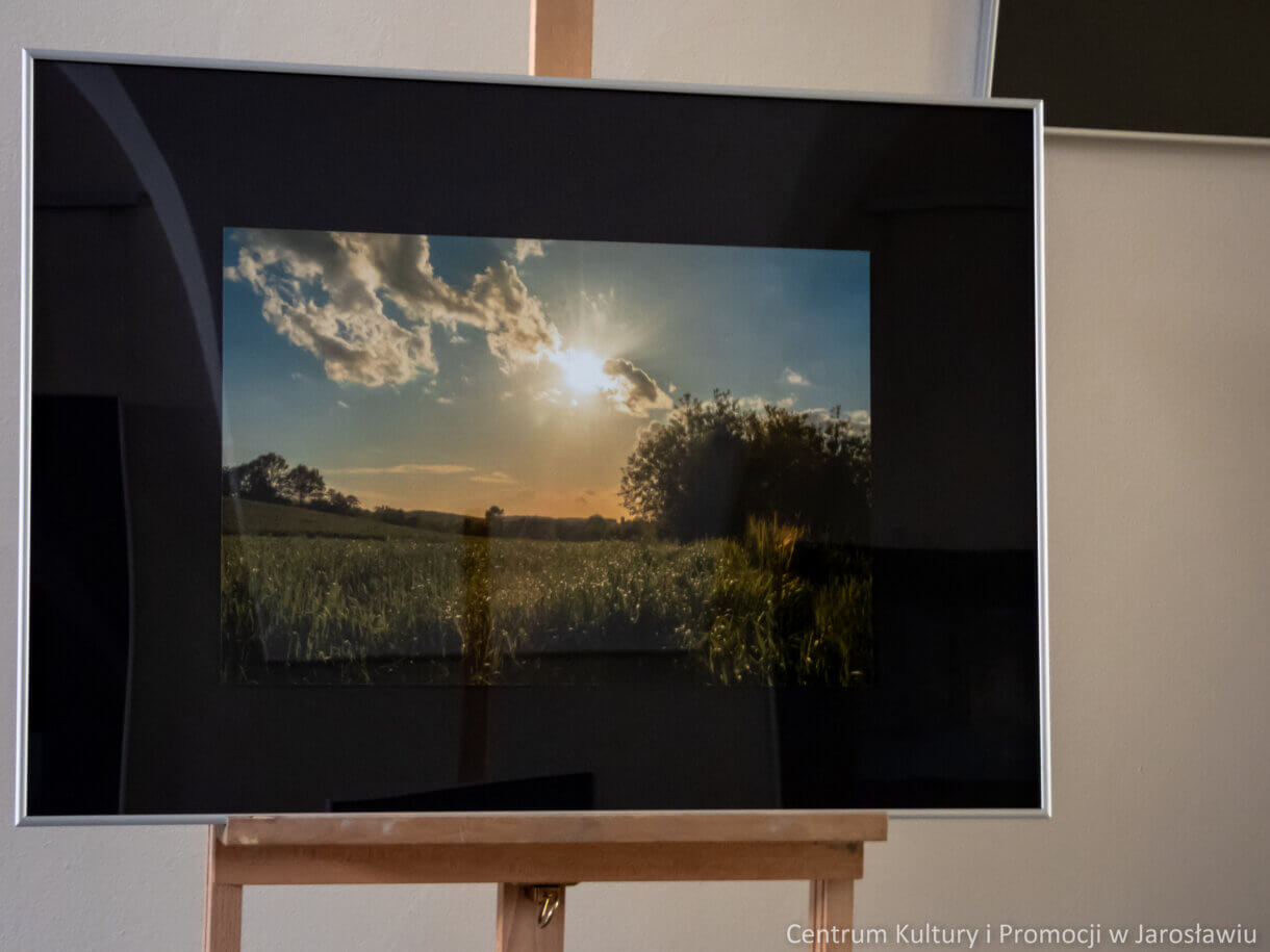fotografia przedstawiająca zachód słońca nad łąką, Galeria w Holu