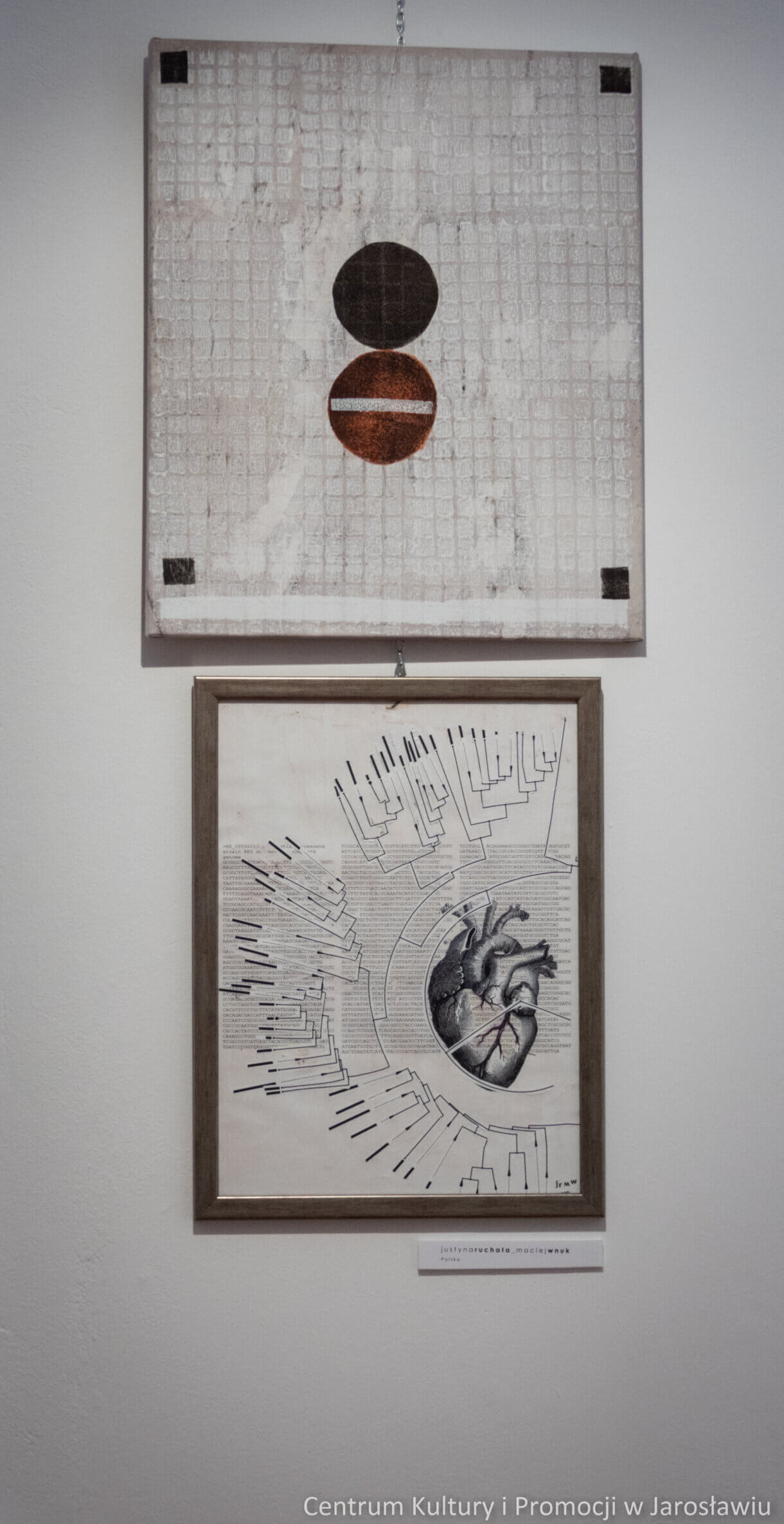 - ekspozycja wystawy Art&Science