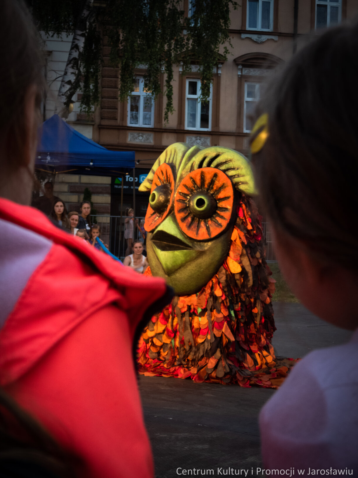 sowa - spektakl kamienny