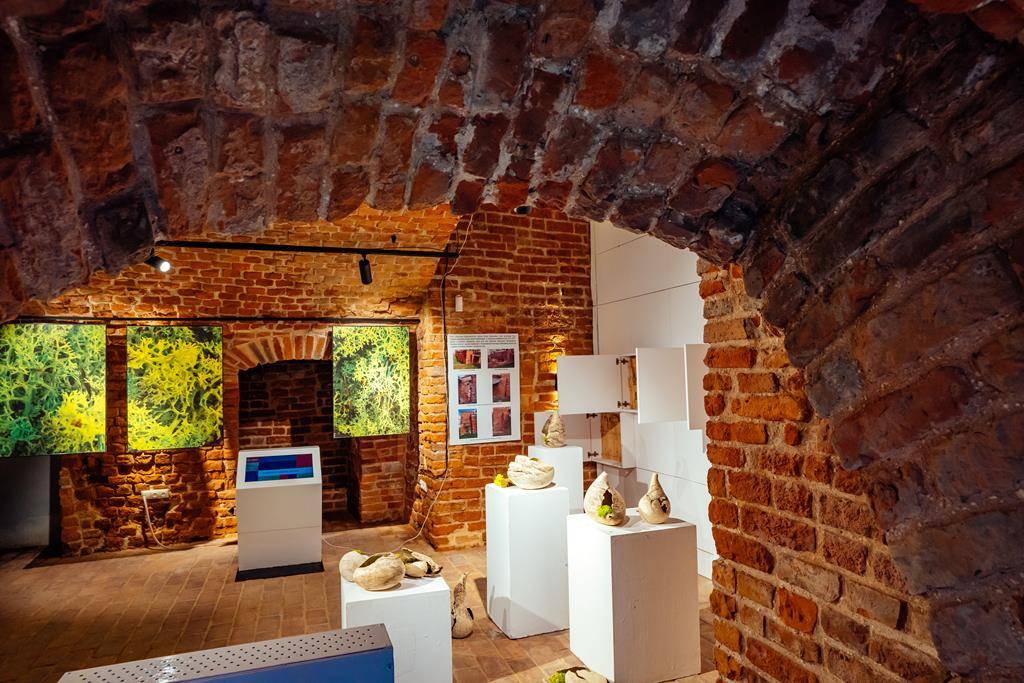 piwnice bramy krakowskiej w jarosławiu