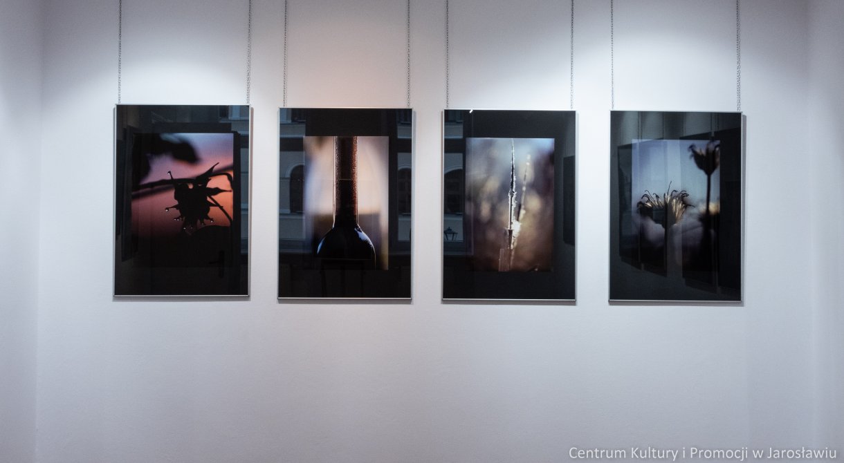 zdjęcia na wystawie galerii widok krajobraz