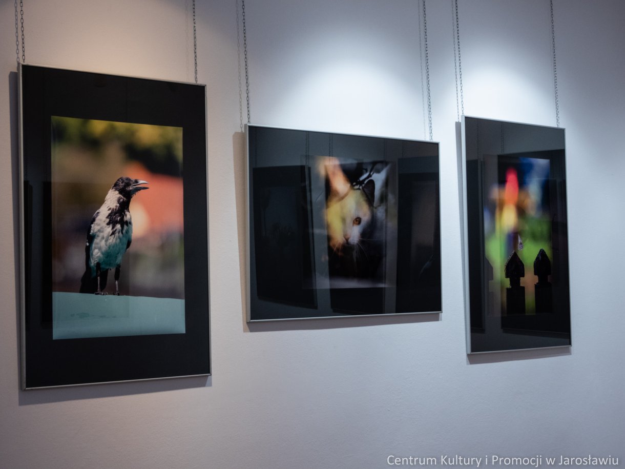 zdjęcia na wystawie galerii widok krajobraz