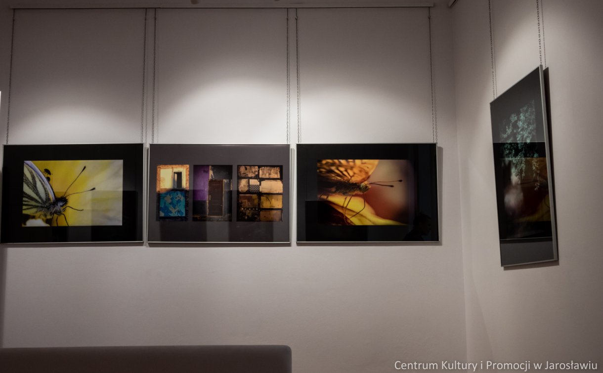 zdjęcia na wystawie galerii widok krajobraz