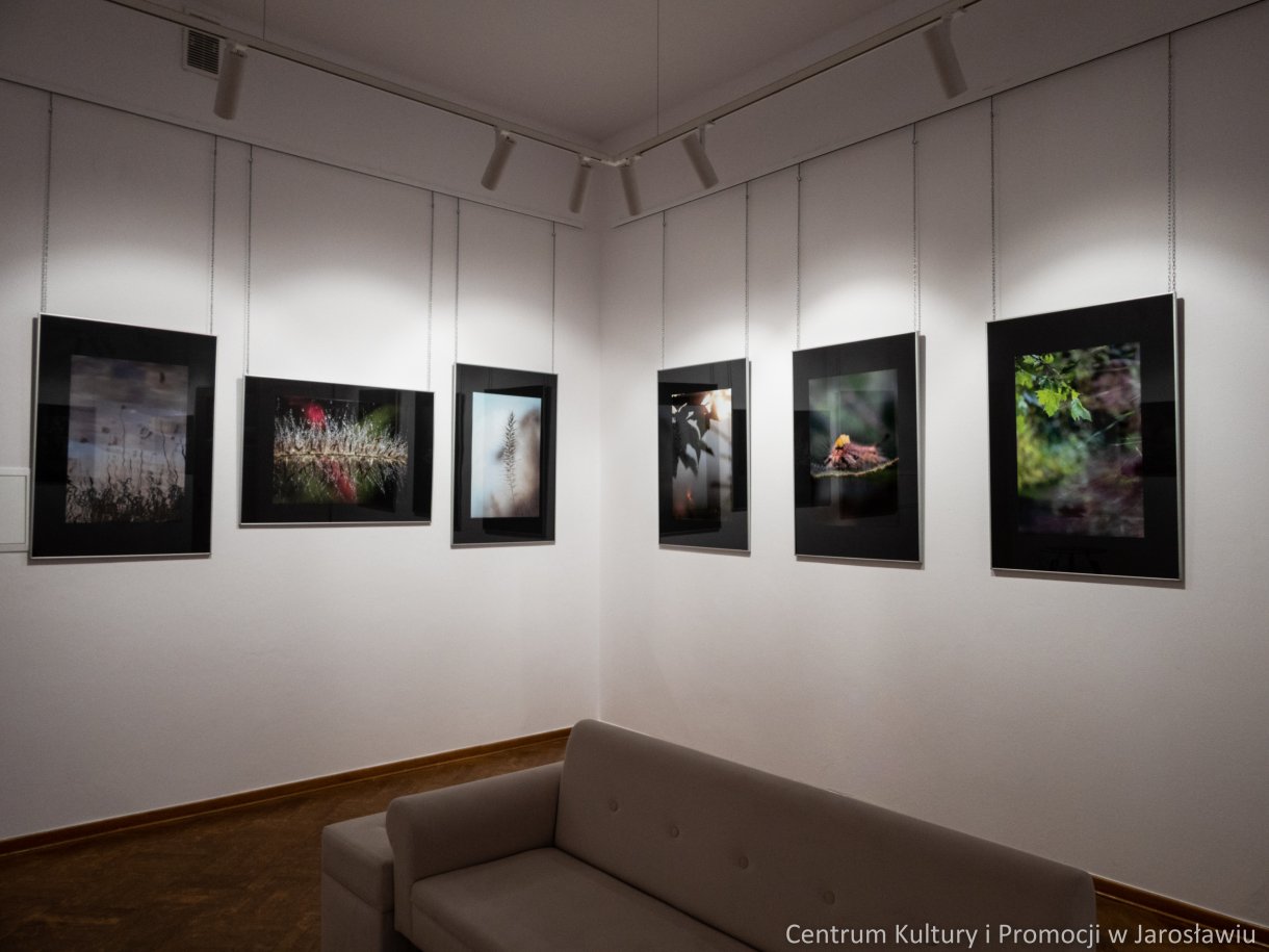 zdjęcia na wystawie galerii widok krajobraz