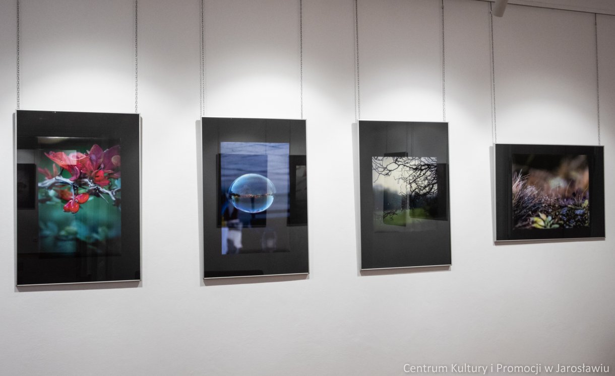 zdjęcia na wystawie galerii widok krajobraz