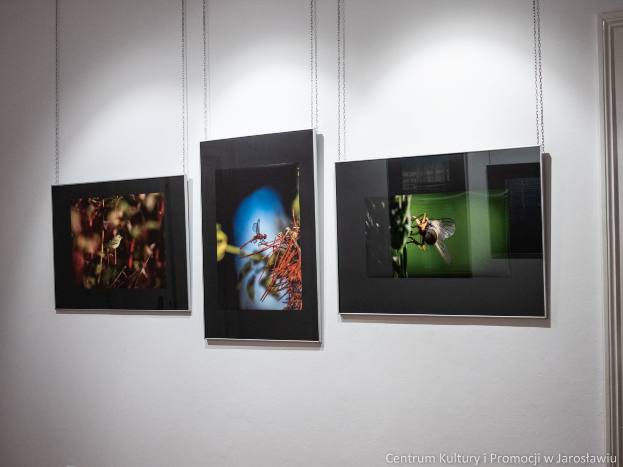 zdjęcia na wystawie galerii widok krajobraz