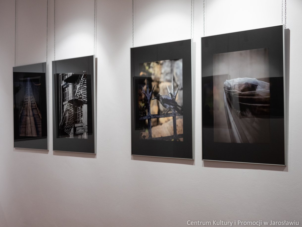 zdjęcia na wystawie galerii widok krajobraz