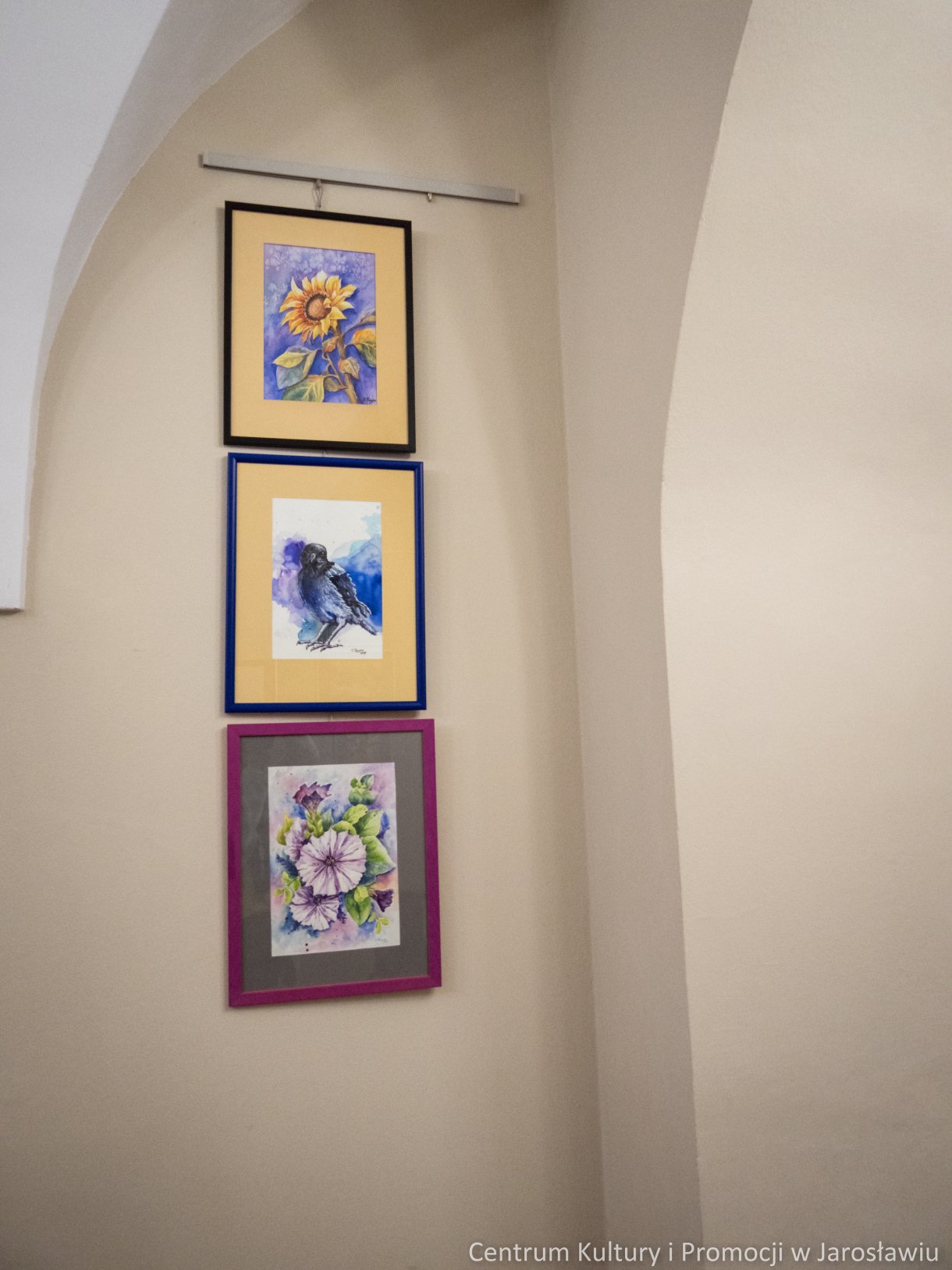 obrazy na ścianie. akwarele - kwiaty