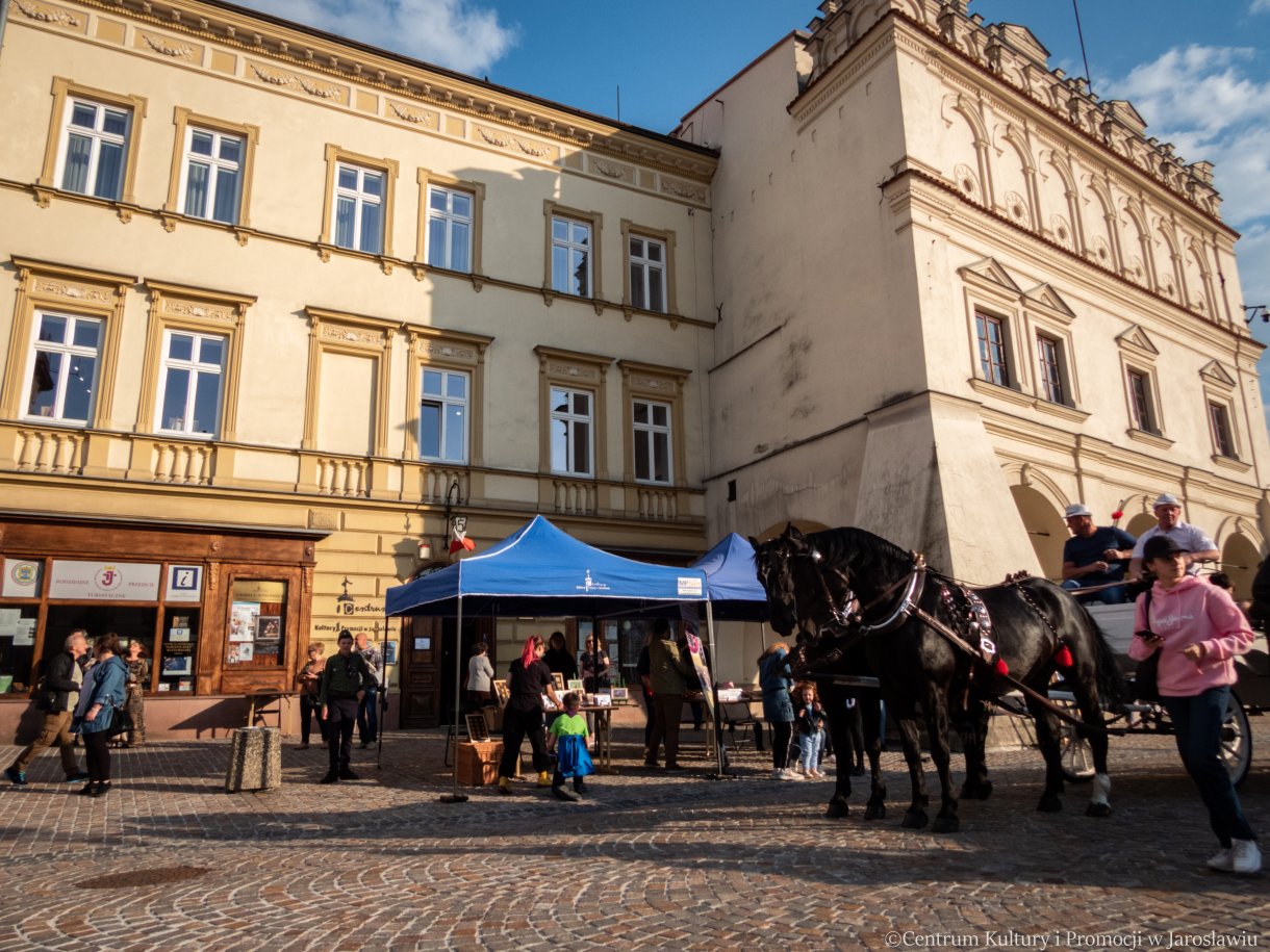 konie na tle kamienic w rynku