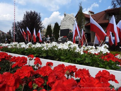 Początek maja to czas upamiętniający jedne z najważniejszych wydarzeń i symboli w naszej historii. Od 2004 roku w całej Polsce, 2 maja obchodzimy Dzień Flagi RP natomiast 3 maja przypada Święto Narodowe Trzeciego Maja. Dzień Flag RP to święto wprowadzone na mocy ustawy z 20 lutego 2004 r. Jarosławskie obchody Święta Flagi RP rozpoczęły się uroczystym przemarszem z placu ks. Piotra Skargi na jarosławski Rynek. Biało-czerwony korowód niosący 30-metrową flagę prowadzony był przez Orkiestrę Dętą „Laudate Dominum” oraz kompanię reprezentacyjna Wojska Polskiego. Po dotarciu na rynek, uroczyście podniesiono flagę na masz. Towarzyszył temu odegrany przez „Laudate Dominum” oraz odśpiewany przez żołnierzy i wszystkich zebranych Mazurek Dąbrowskiego. Okolicznościowe przemówienie wygłosił min. Burmistrz Miasta Jarosławia Waldemar Paluch, który podkreślał wagę symboli narodowych w tym szczególnym czasie, po czym miała miejsce defilada wojskowa. Na zakończenie obchodów rozdane zostały biało-czerwone flagi, wykonano wspólne pamiątkowe zdjęcie, a dzieci mogły wziąć udział w specjalnie dla nich przygotowanych animacjach i zabawach. Święto Narodowe Trzeciego Maja otworzył koncert Reprezentacyjnego Chóru Mieszanego „Jarosław”, który poprzedził mszę święto w intencji Ojczyzny, odprawioną w kościele p.w. NMP Królowej Polski. Po eucharystii udano się pod pomnik Konstytucji Trzeciego Maja gdzie w towarzystwie Mazurka Dąbrowskiego podniesiono flagę na maszt. Po okolicznościowych przemówieniach odczytana apel pamięci, następnie kompania honorowa Wojska Polskiego oddała salwę honorową. Później nastąpiło złożenie kwiatów pod Pomnikiem przez władze parlamentarzystów, władze wojewódzkie i samorządowe, służby i instytucje publiczne, organizacje pozarządowe oraz szkoły.