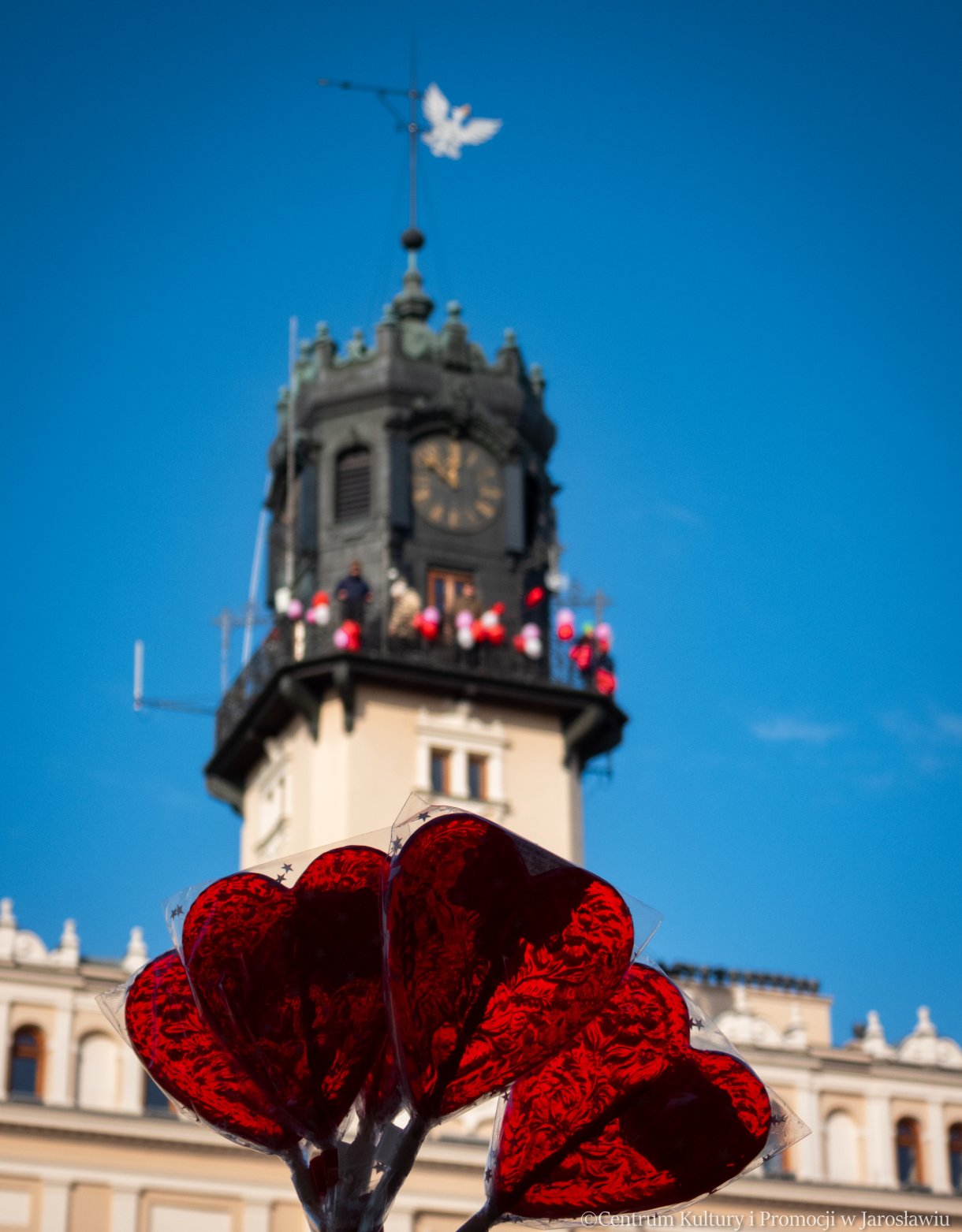 lizaki w kształcie serca na tle udekorowanej wieży jarosławskiego ratusza w ramach akcji zakochani w podziemiach