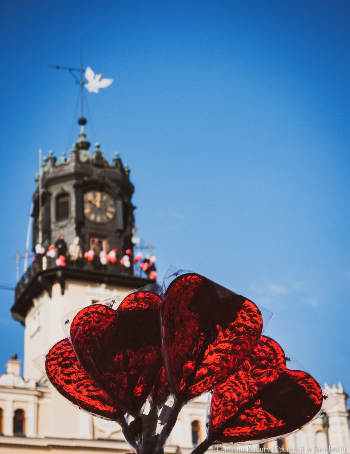 lizaki w kształcie serca na tle udekorowanej wieży jarosławskiego ratusza w ramach akcji zakochani w podziemiach