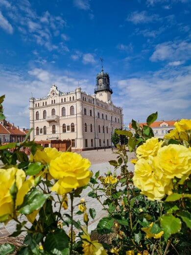 Turystyczne Mistrzostwa Vlogerów