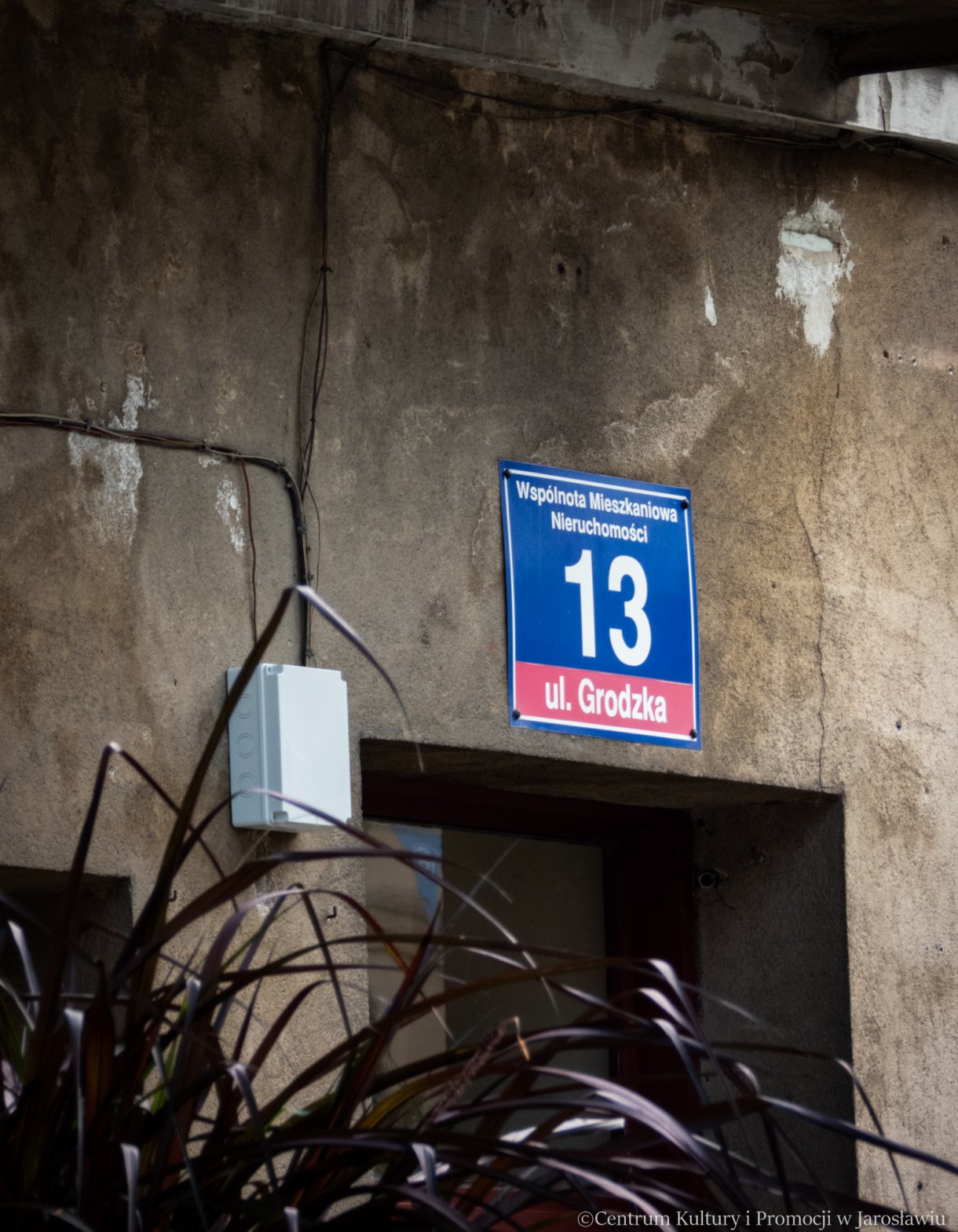 podkarpacki szlak filmowy - spacer z przewodnikiem po mieście