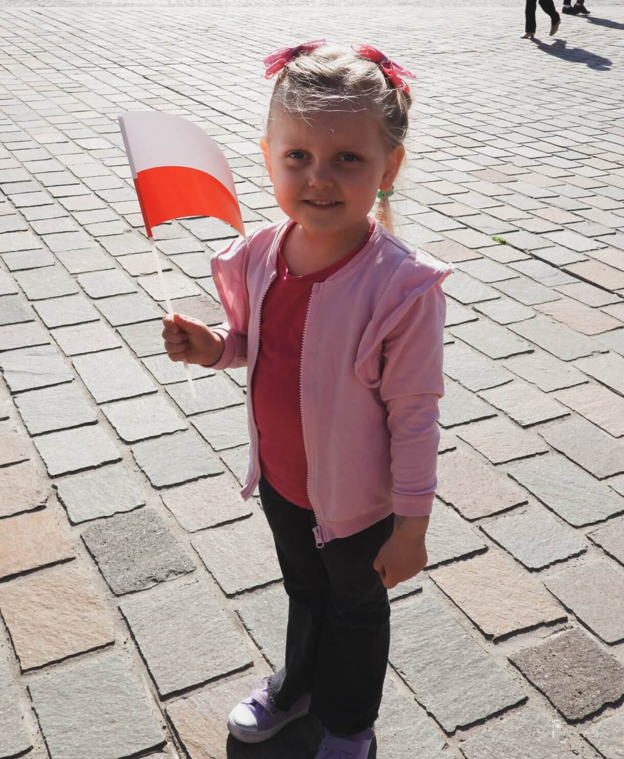 Dzień Flagi RP - uczestnicy