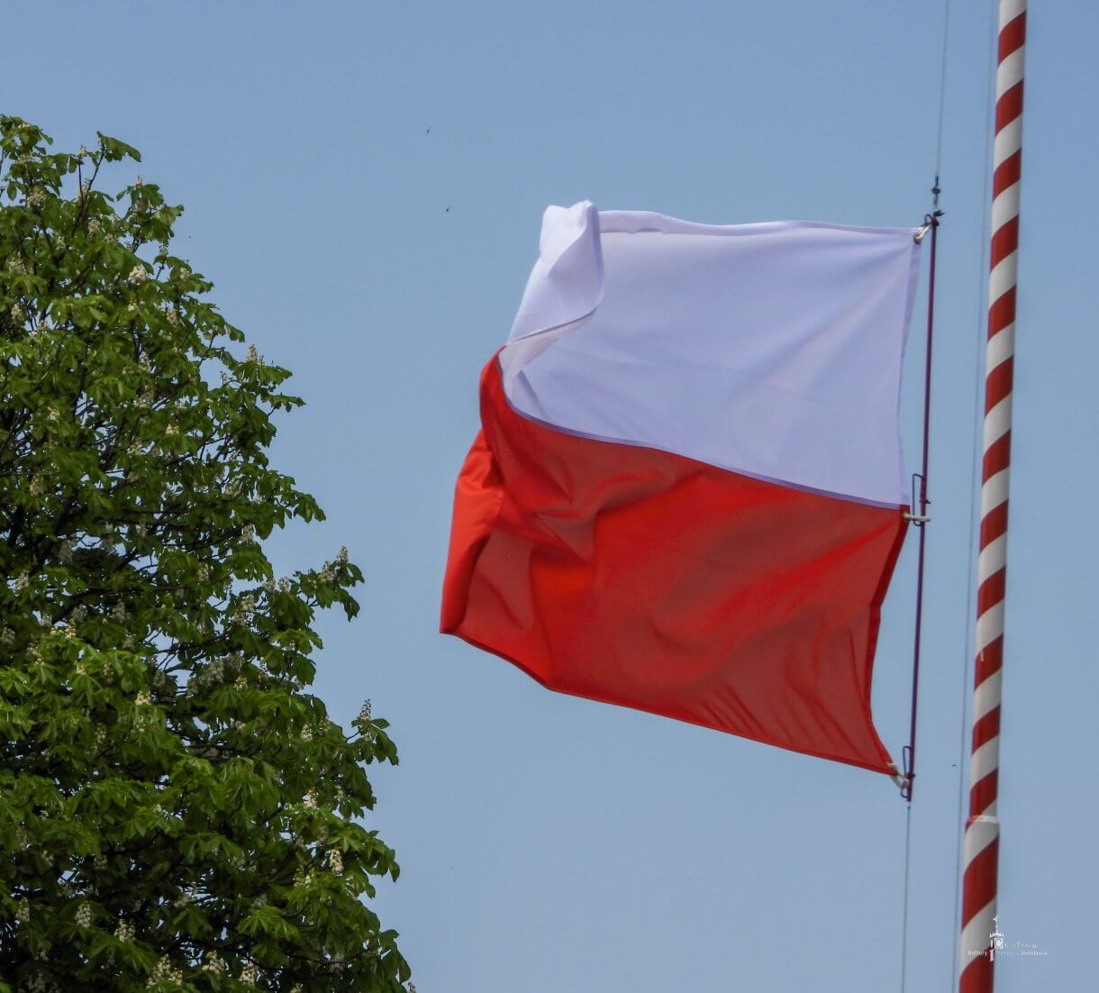 Święto Narodowe Trzeciego Maja - flaga RP