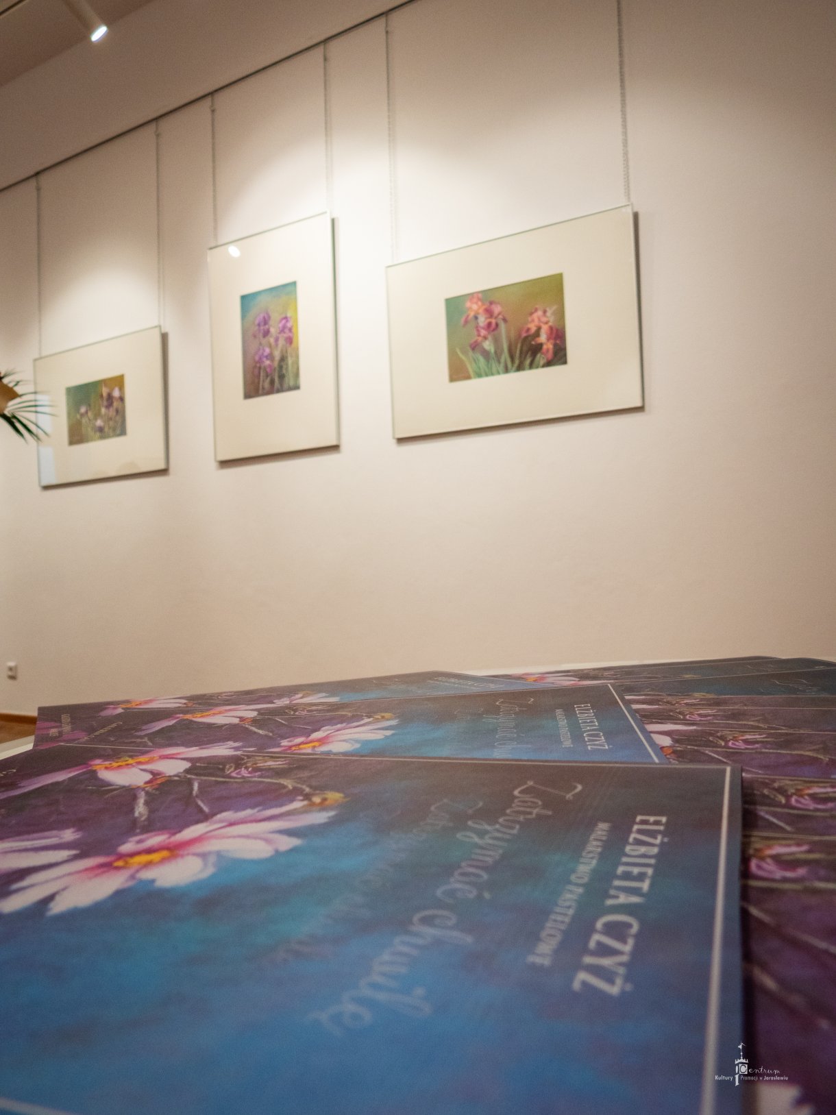 Wernisaż Elżbiety Czyż - ekspozycja