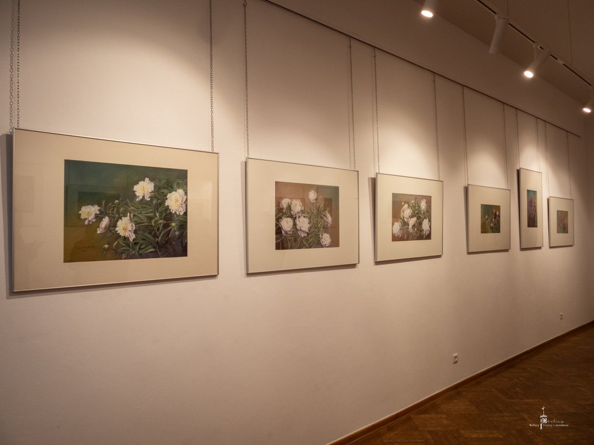 Wernisaż Elżbiety Czyż - ekspozycja