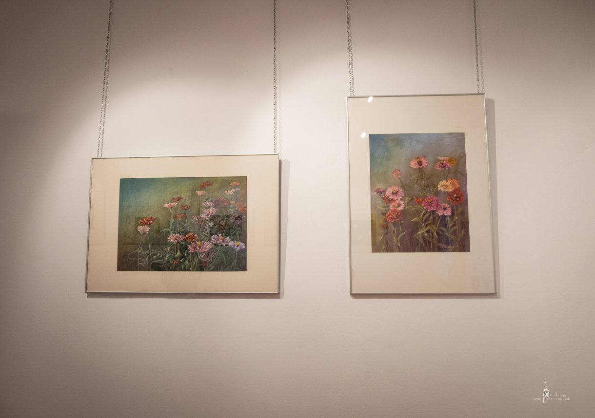 Wernisaż Elżbiety Czyż - ekspozycja