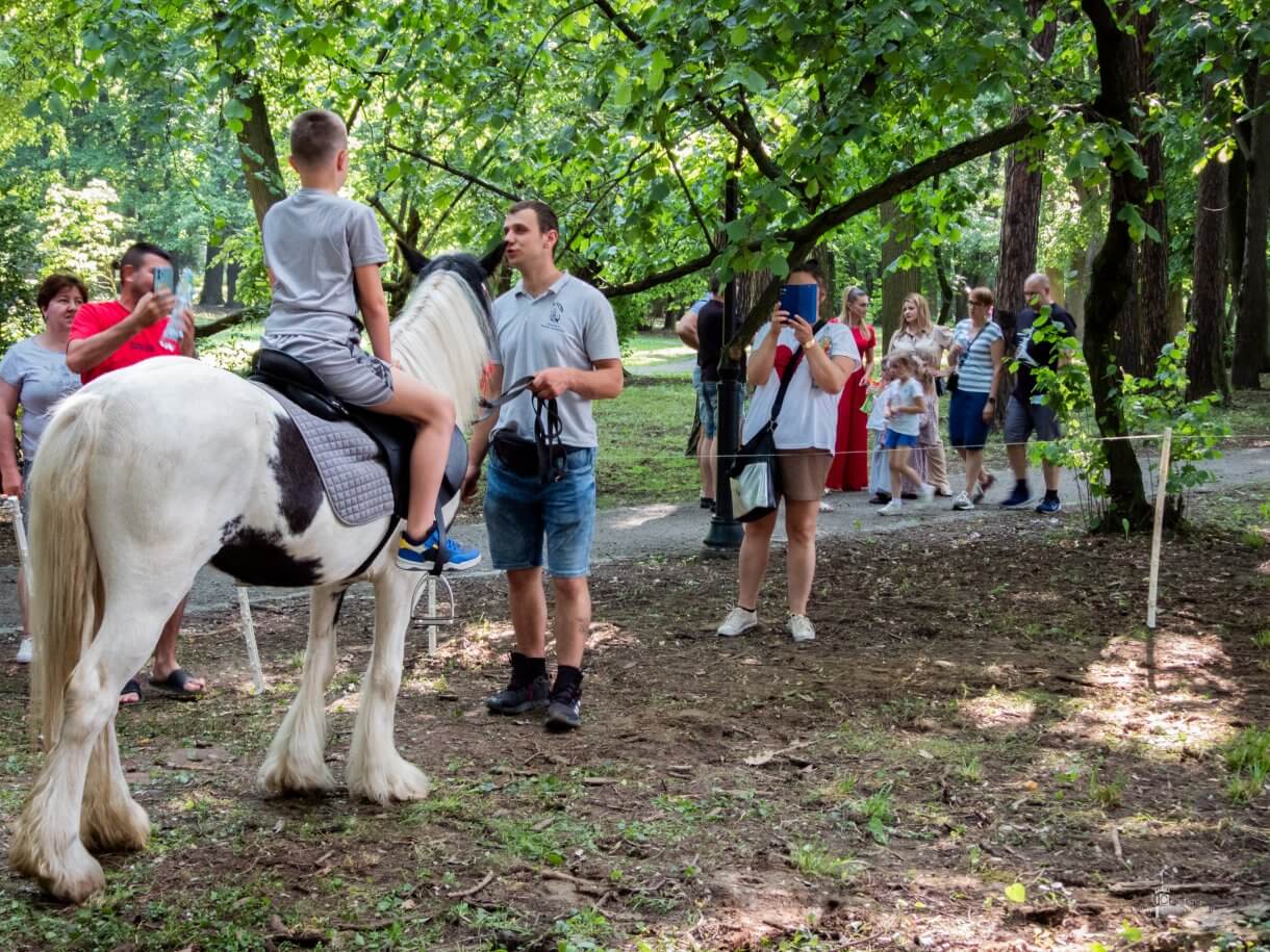 Dzień dziecka w parku miejskim - przejażdżki konikiem