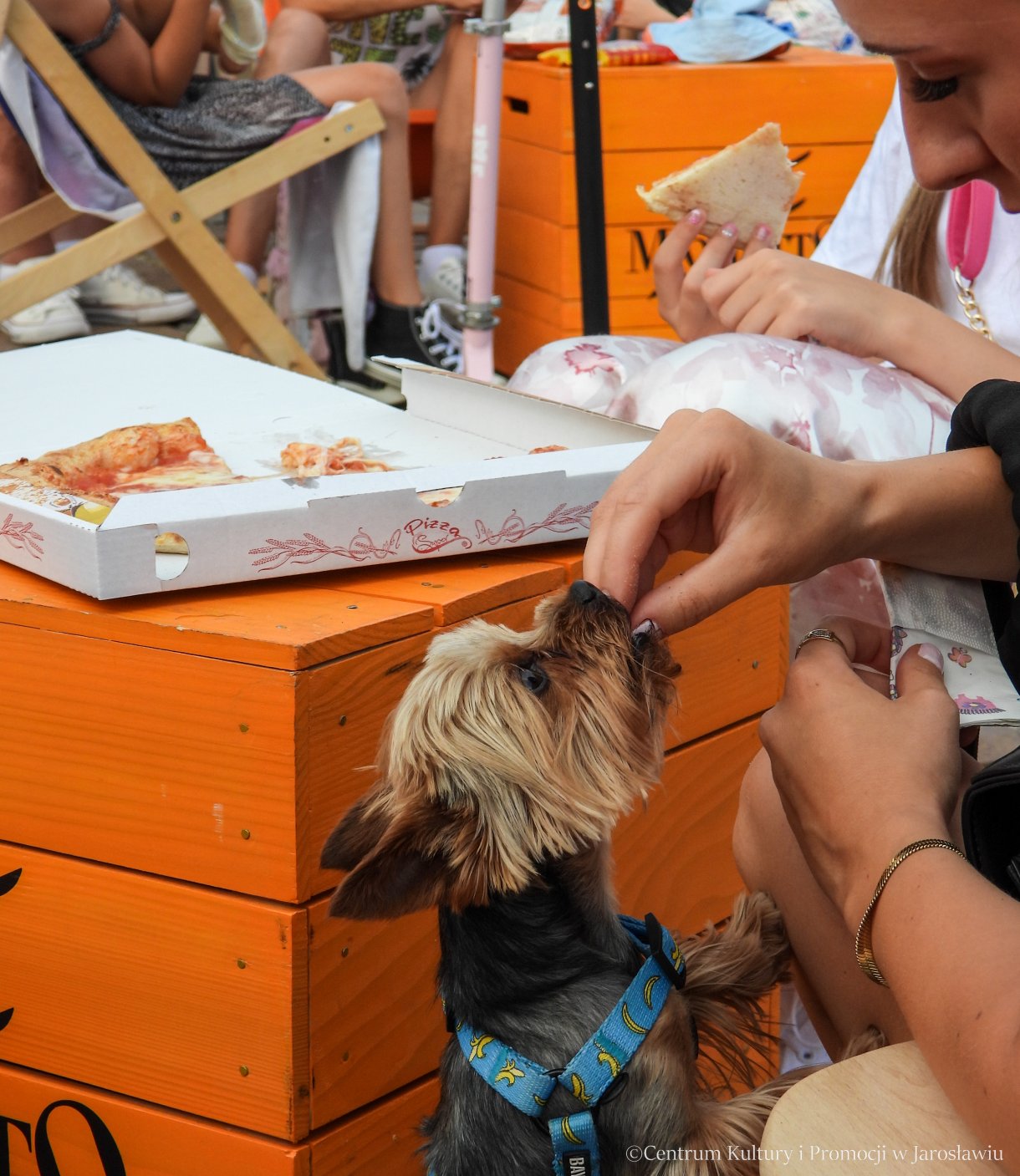 Festiwal Ciao Italia – uczestnicy