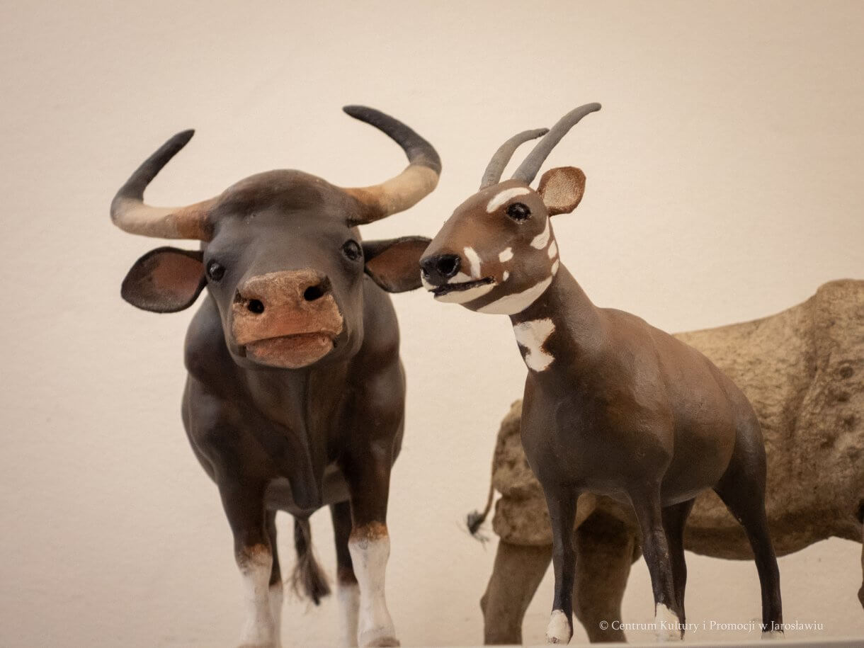 Centrum Kultury i Promocji w Jarosławiu zaprasza na wystawę Franciszka Żbika „RZEŹBA” Prace ucznia Państwowego Liceum Sztuk Plastycznych im. Stanisława Wyspiańskiego w Jarosławiu. Czas trwania: kwiecień 2026